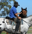 BC Horse Training - EJ Baker & JR Campbell 
