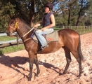 Vital Equine 2yo Colt - Out of Citidancer Mare, City Winning Family
