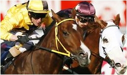 Winterbottom Stakes Day Preview