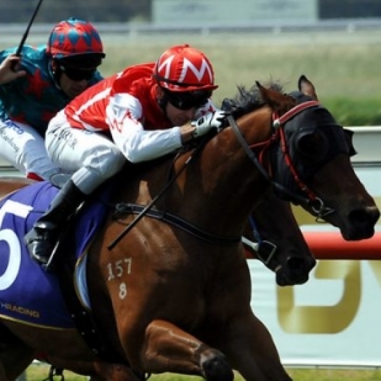 Watermans Bay does it for WA at the odds