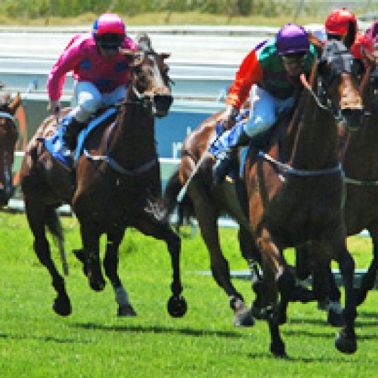 Ascot R4. Crown Perth-jungle Mist Classic