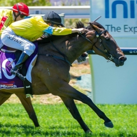 Cadenza doubles up for Morton in Magic Millions Classic