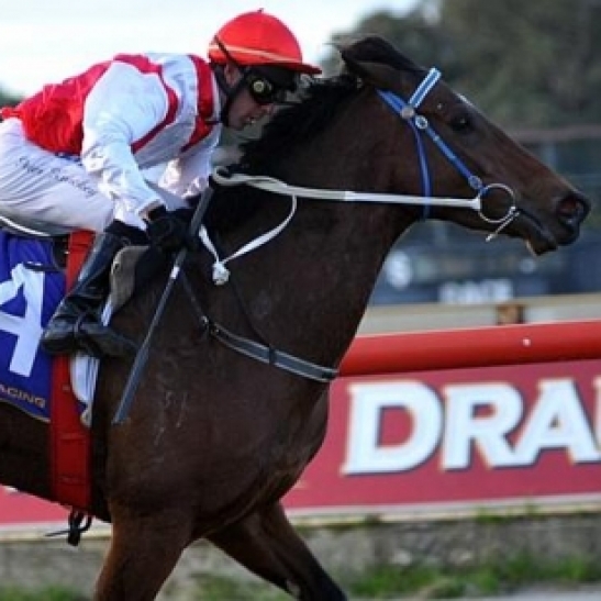 Platinum Rocker chases Tiara