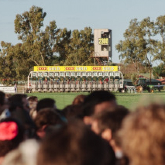 Memorable Boulder Cups