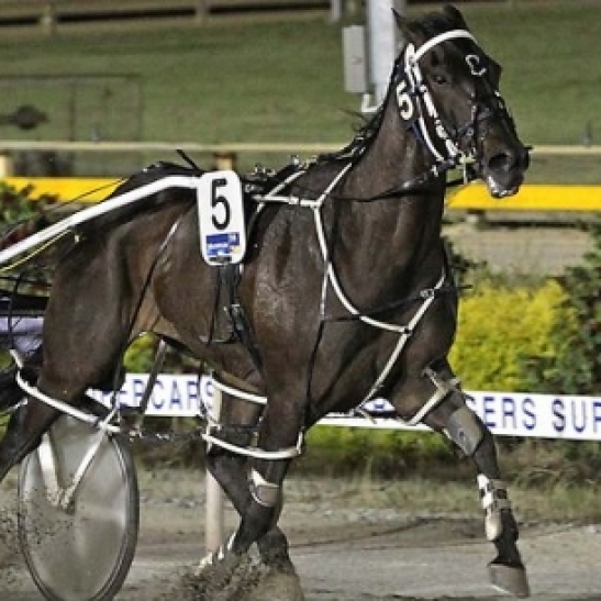 One of WA's true champion combinations looks to end a glittering career
