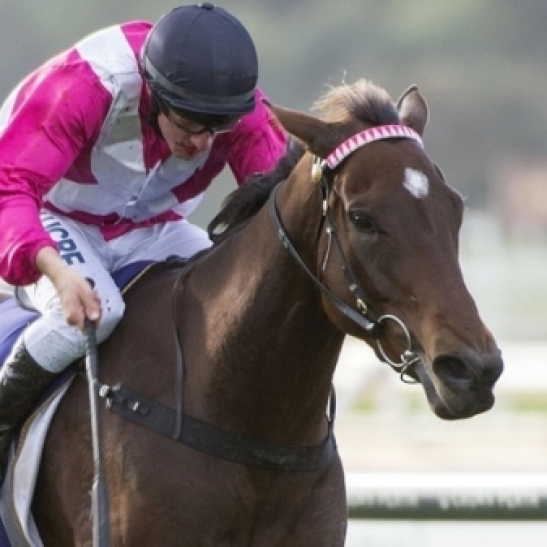 Delicacy dominates South Australia