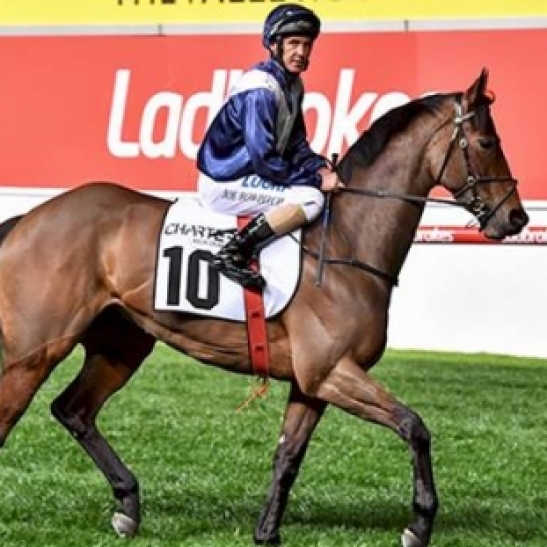 Full Winterbottom Stakes Day Preview