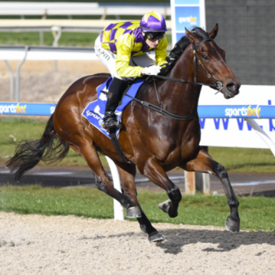 WA Black Hearts announce their first tried runner